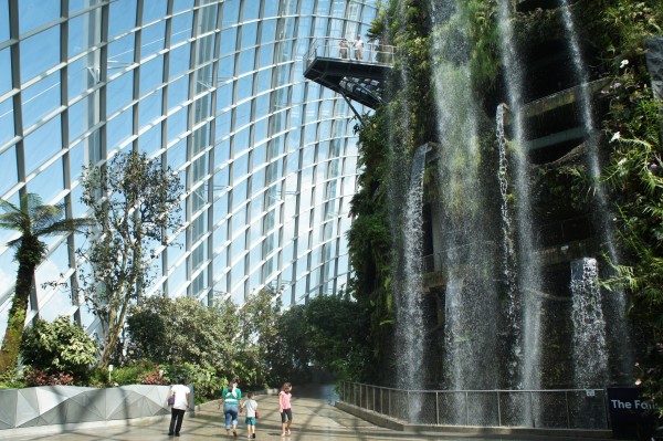 Cloud Forest with the tallest "indoor man-made waterfall"