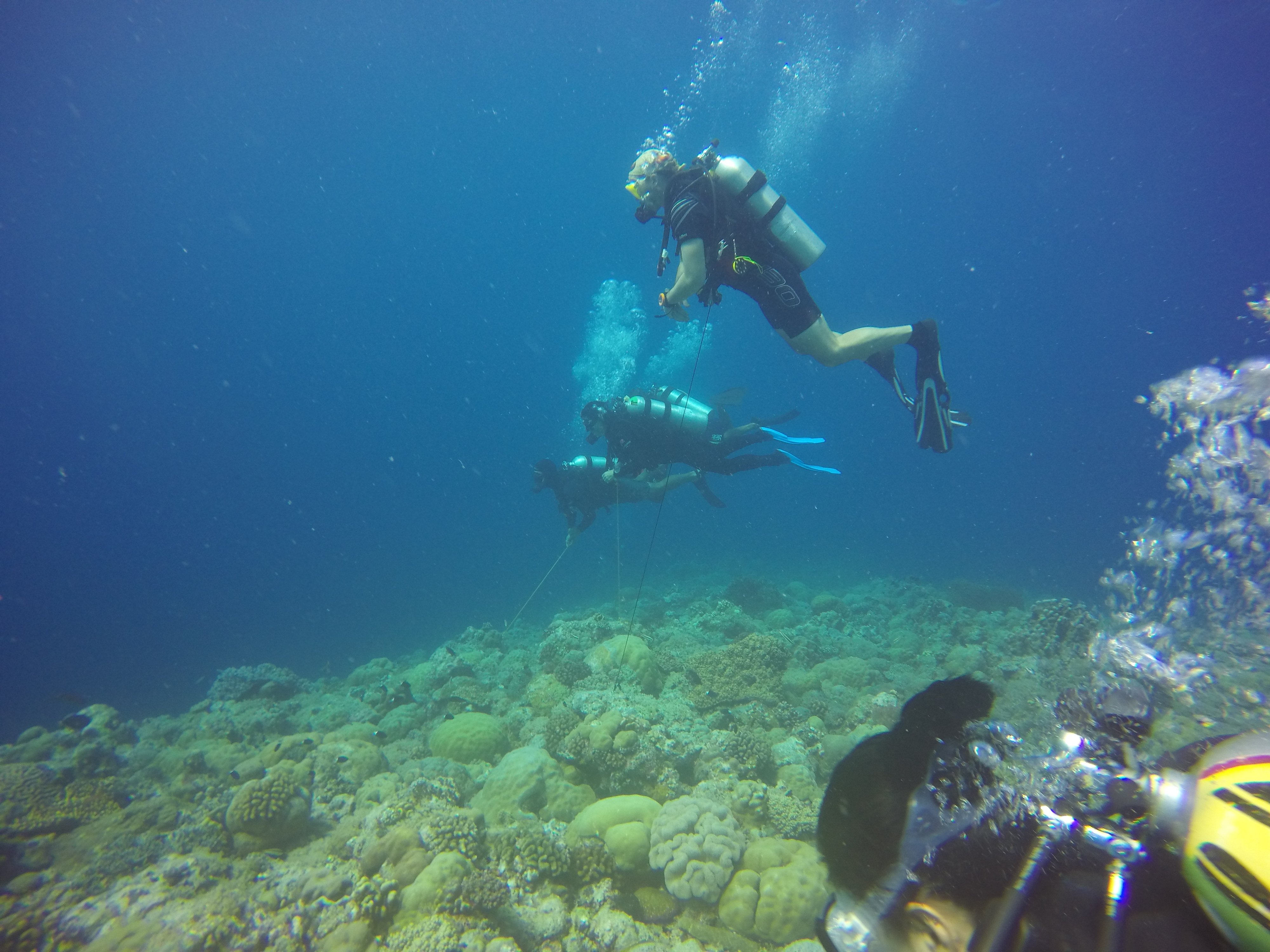 Farleyfamily.net » Scuba Diving In The Island Nation Of Palau